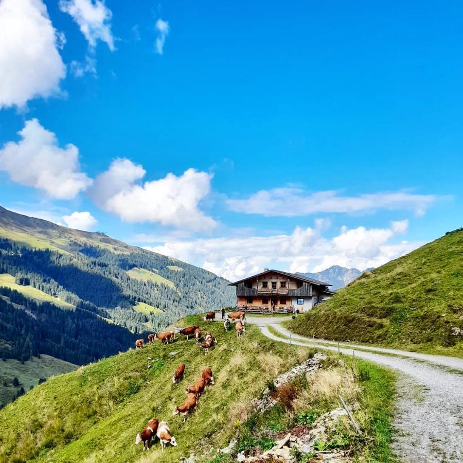 Ferienwohnungen Lehenhof Alpbach Eksteriør billede