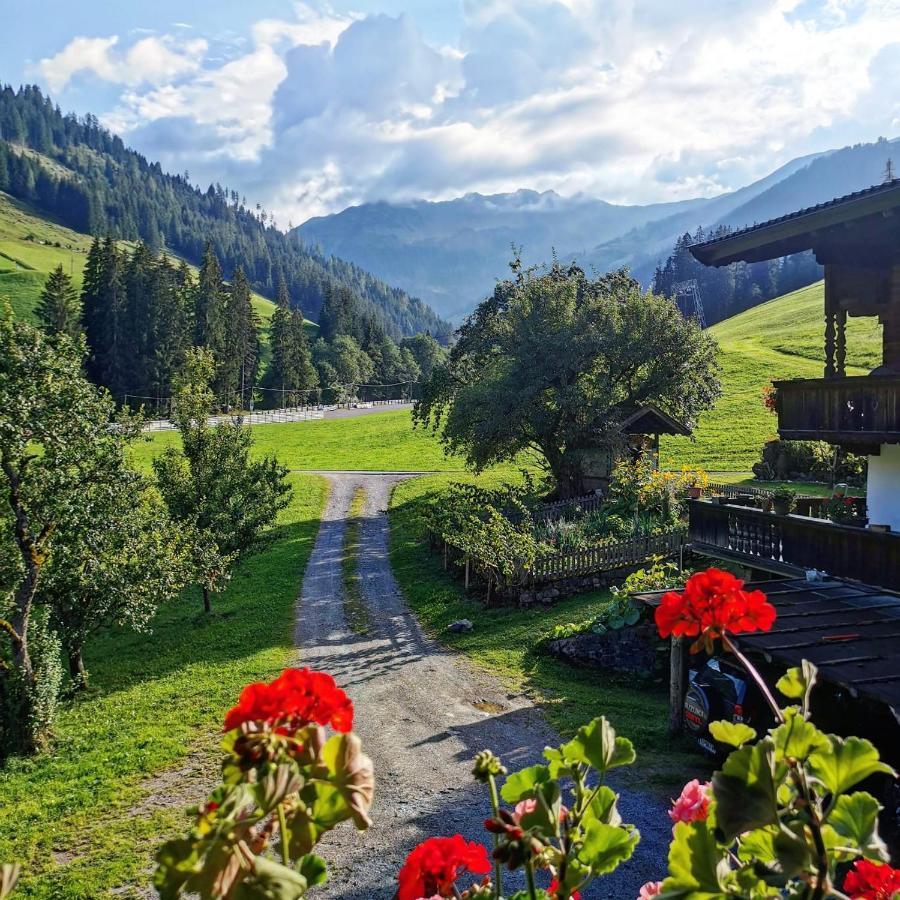 Ferienwohnungen Lehenhof Alpbach Eksteriør billede