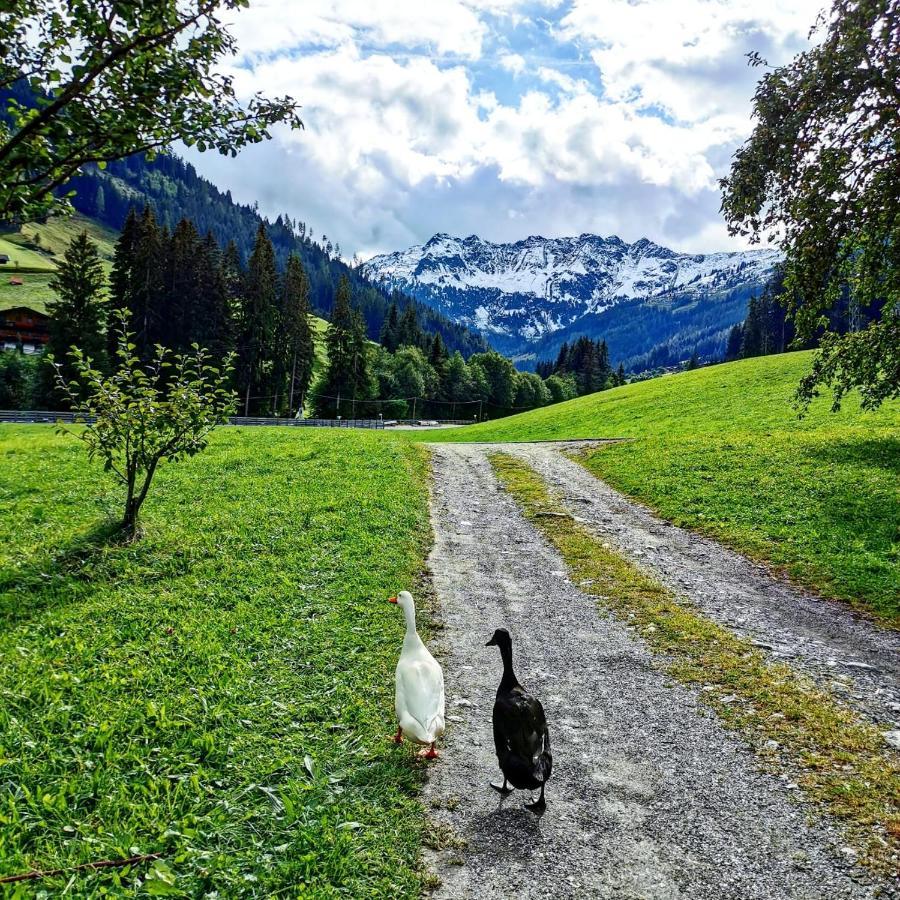 Ferienwohnungen Lehenhof Alpbach Eksteriør billede