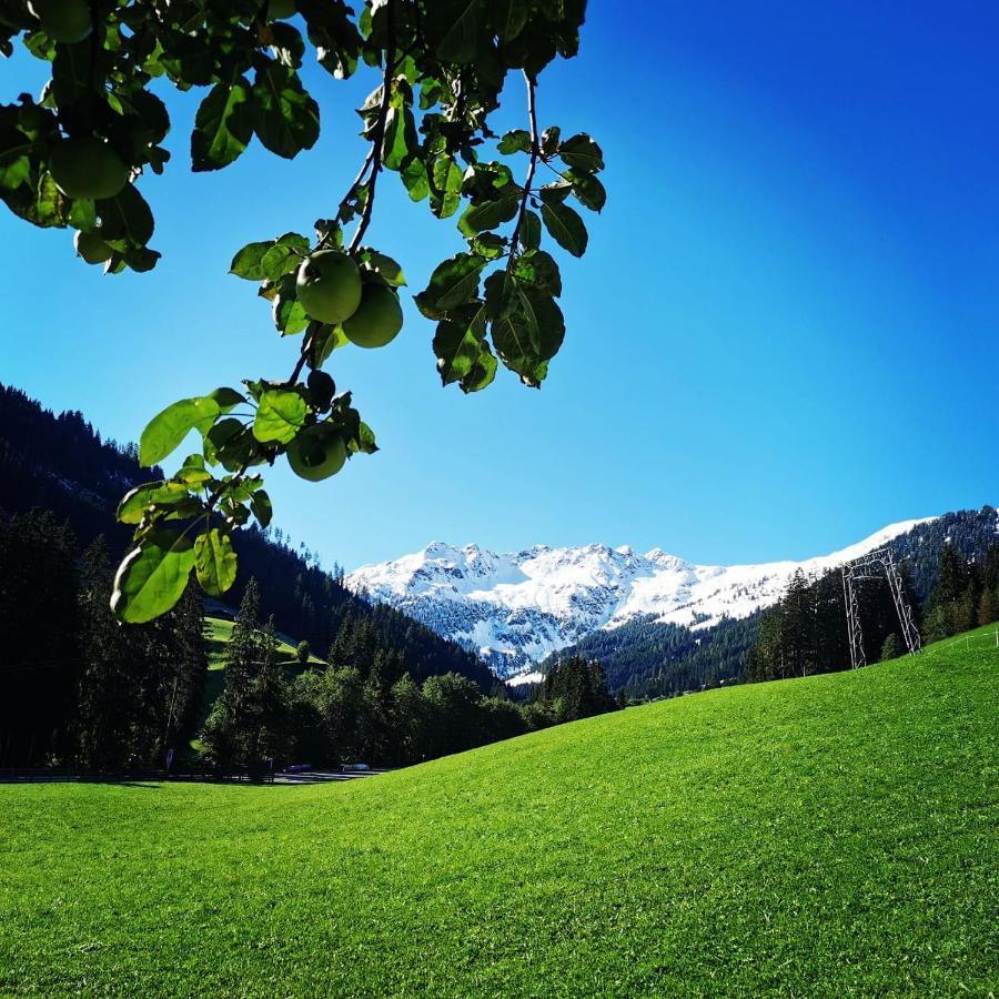 Ferienwohnungen Lehenhof Alpbach Eksteriør billede