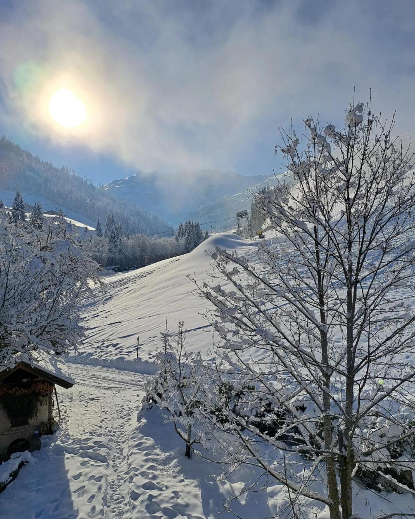 Ferienwohnungen Lehenhof Alpbach Eksteriør billede